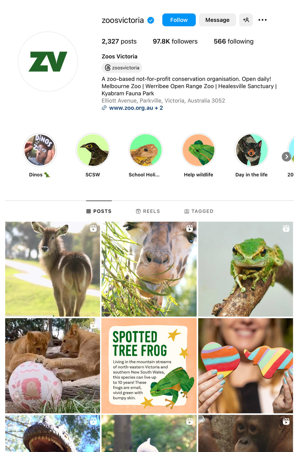 Instagram page Instagram page