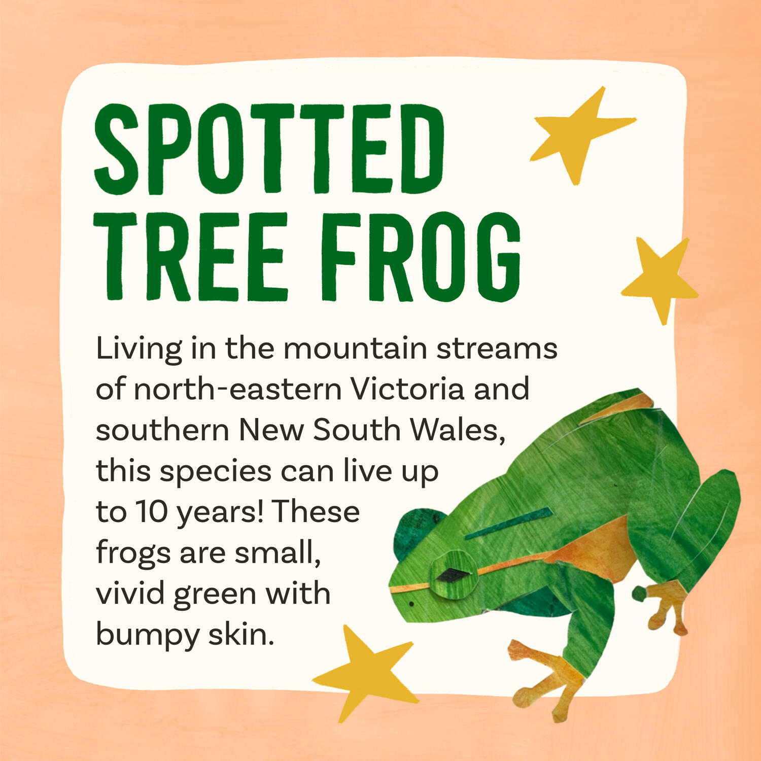 Instagram tile Instagram tile